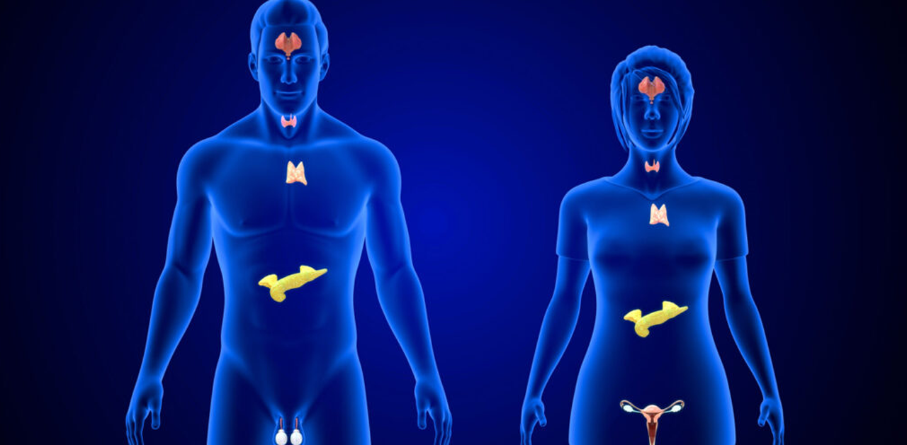Endocrine Disorders