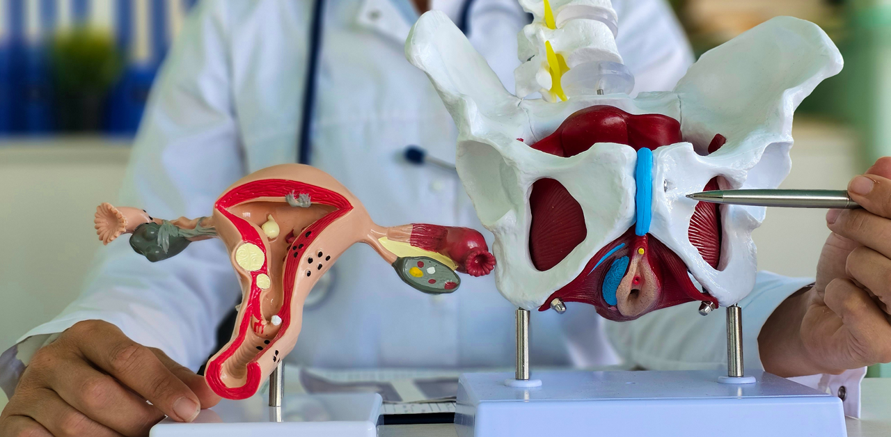 Urology/Urogynecology